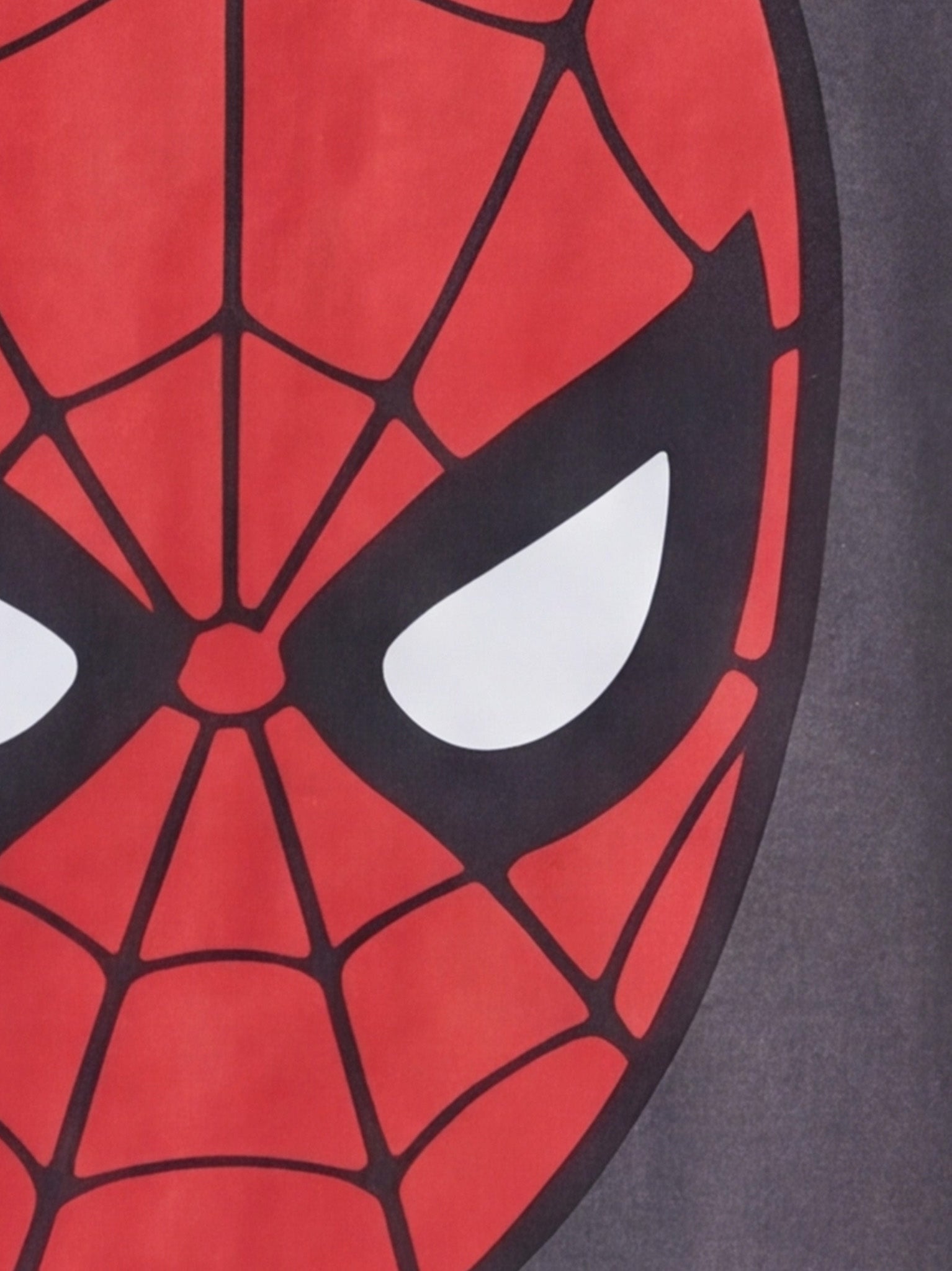 Spider-Man Big Mask Kid Tee - Grey