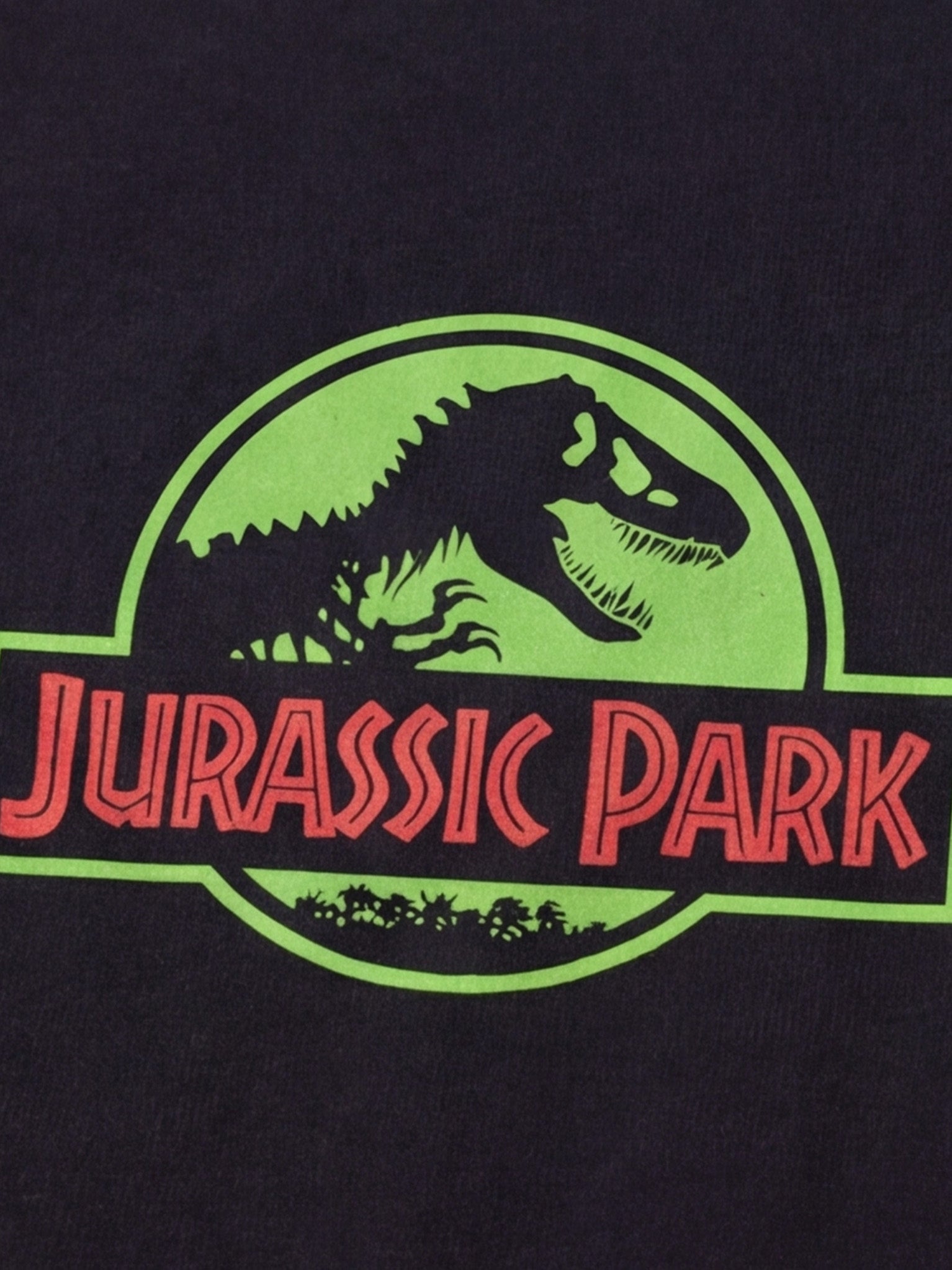 Jurassic Park Graphic Tee - Black